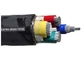 O PVC do certificado 600/1000V de KEMA TUV isolou o cabo bonde do PVC do núcleo dos cabos 4 fornecedor