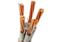 Maestro Cable do cobre da bainha do PVC da isolação de XLPE fornecedor