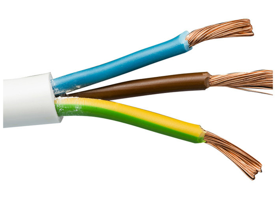 CHINA Cabo de fio único colorido com isolamento de PVC do grupo Shanghai Shenghua, fio único, temperatura máxima do condutor 70℃ fornecedor