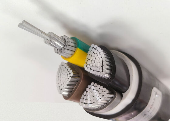CHINA RVV 2x2.5mm2 Flexible Oxygen-Free Copper PVC Insulated Sheathed Cable for Home Appliance 300/500V fornecedor