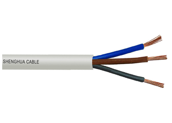 CHINA o Pvc de 450V 1mm2 isolou cabos não revestidos para dispositivos de poder fornecedor