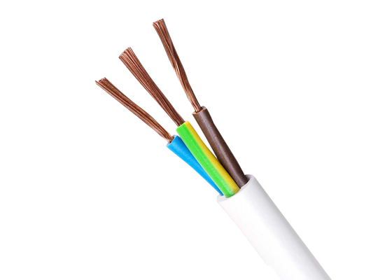 CHINA BVV 7 encalhou o fio dobro de cobre do cabo elétrico de revestimento de PVC fornecedor