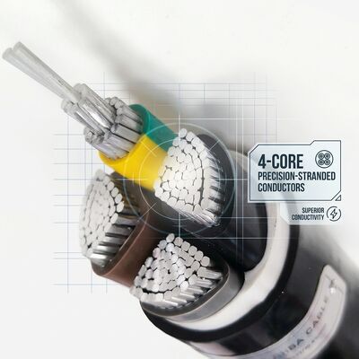 Waterproof Moisture Resistant PVC Insulated Cable 0.6/1kV 2 Core 2x4mm2 Outdoor Wet Area fornecedor